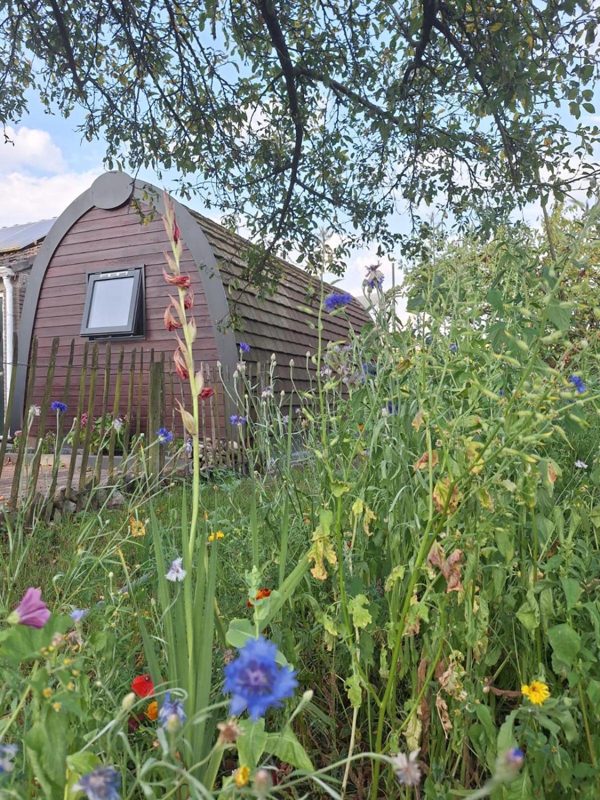 Kerkenveld Swifterlodge מראה חיצוני תמונה